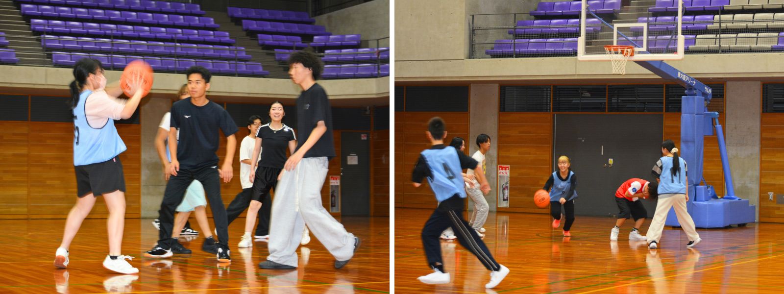 スクーリング